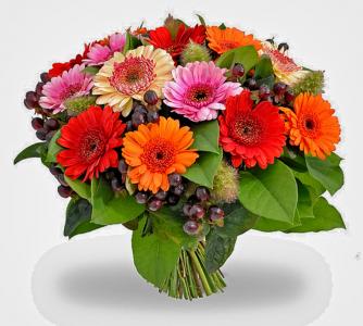 Flowers Belgium 2016 Veterans Day